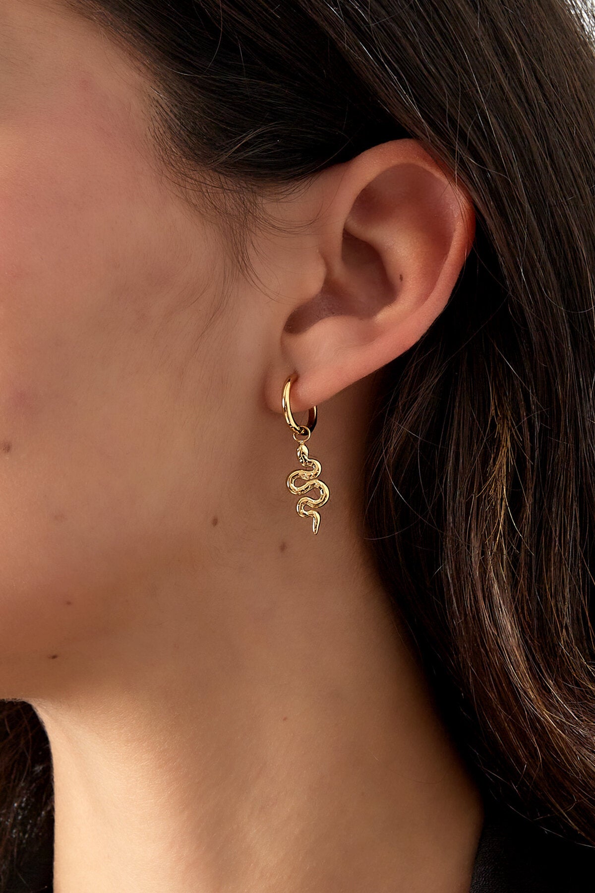 Drop Earrings in Silver & Gold