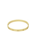 Stainless Steel Clover Bangle - All Fit, Daily Wear
